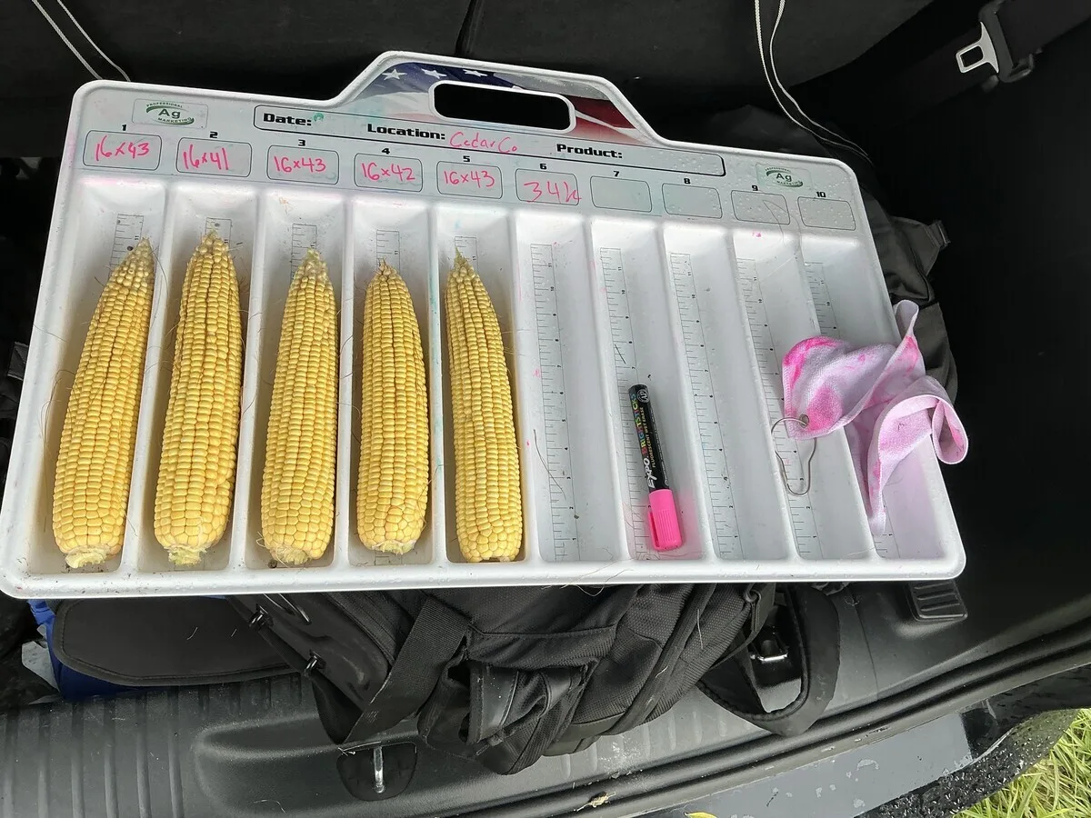 Image 9 1