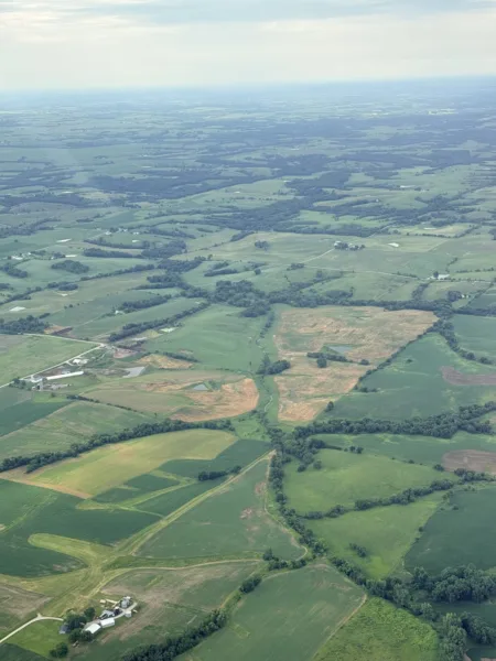 Iowa Wayne 134158