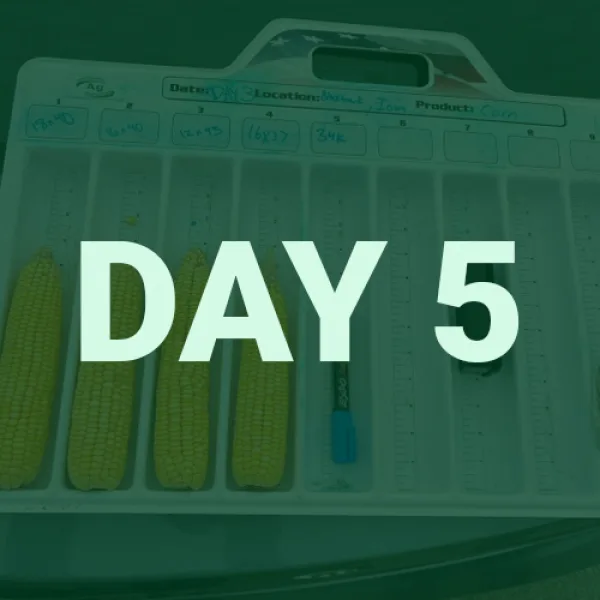 Day5